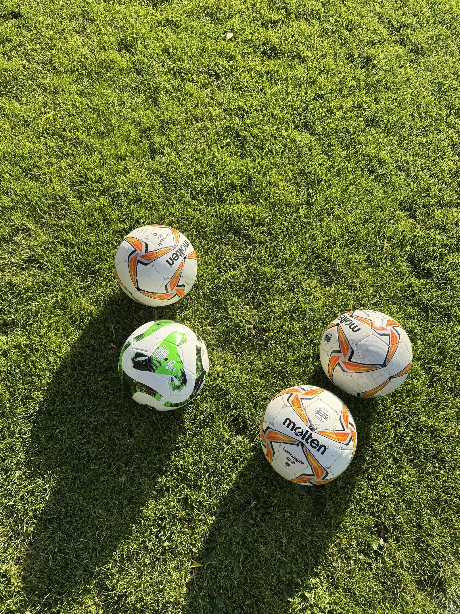 Dieselben vier Bälle im Gras, weiterer Bildausschnitt